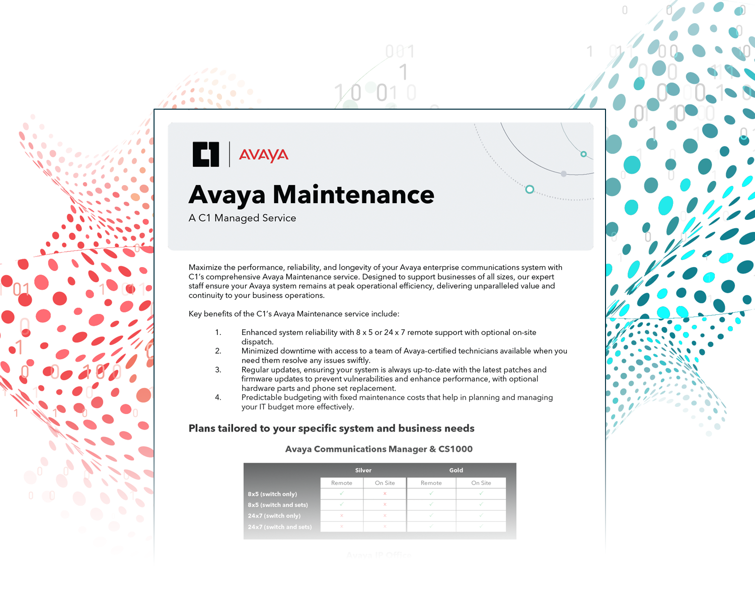 C1 Avaya Maintenance
